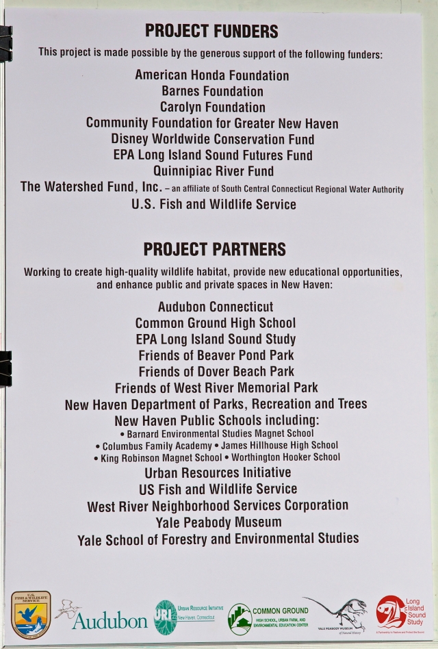 This project is made possible by the generous support of the following funders & Partners. Commissioner in your Corner, Celebrating New Haven Parks; Urban Oases for Birds and Wildlife. Barnard Nature Center, West River Memorial Park, New Haven, CT. ©Mardi Welch Dickinson/ KymryGroup™ All Rights 