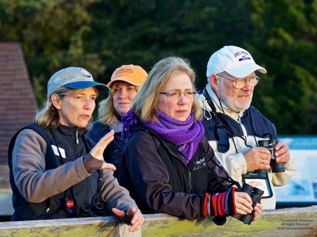 L. Dale Rosselet, Vice President of Education, NJ Audubon; talking hawks with Cape May Fall Festival participants at the Cape May Hawk Platform, Cape May Point State Park, NJ. ©Townsend P. Dickinson.